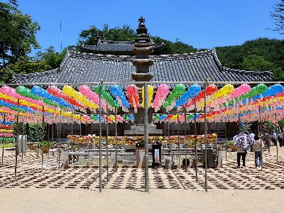 해변 플로깅 페스티벌