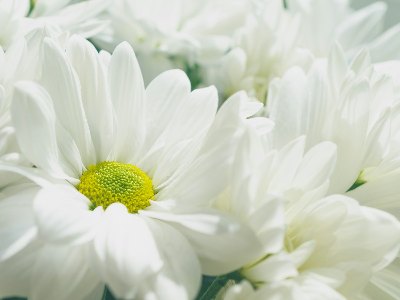 순직 경찰관 가족 생계 지원